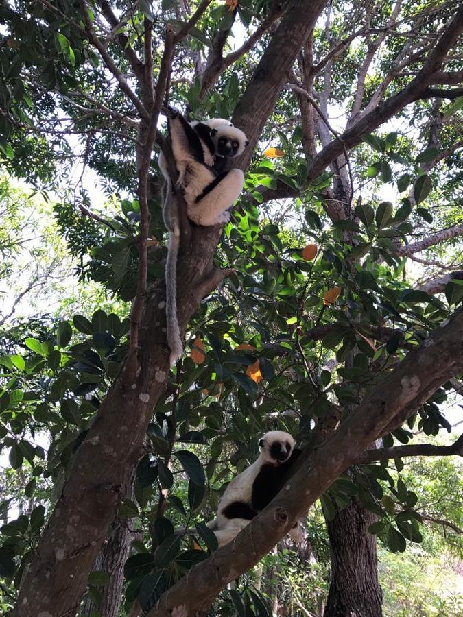 New Park Resort 马哈赞加 外观 照片